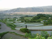棚田