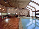 群馬県 水上 ホテルサンバードの温泉大浴場