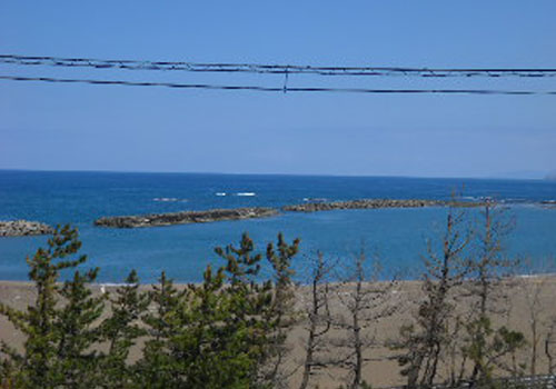 海岸の眺め