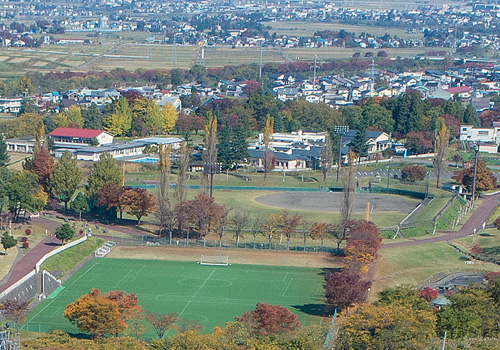 新井総合公園 野球場