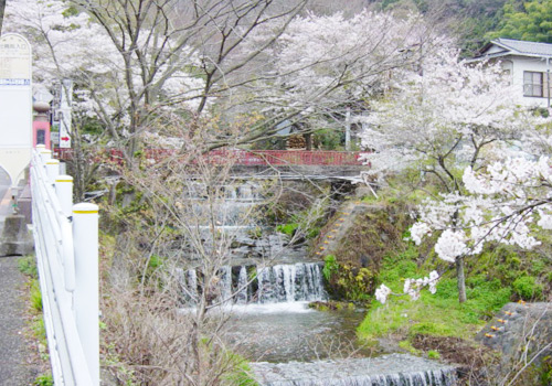 宿の近くの風景