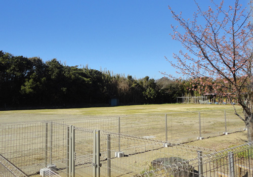 千葉県岩井あさゆまの木のグラウンド「あさゆまの木広場」