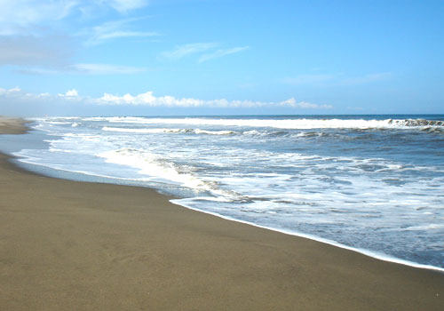 千葉県白子の海岸