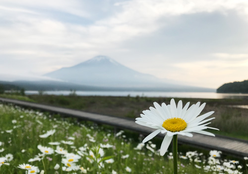 山中湖と富士山