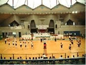 静岡県 湯ヶ島 和風ペンション 天城路の体育館