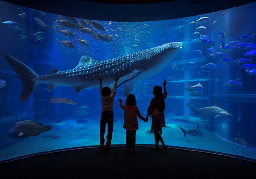 海遊館