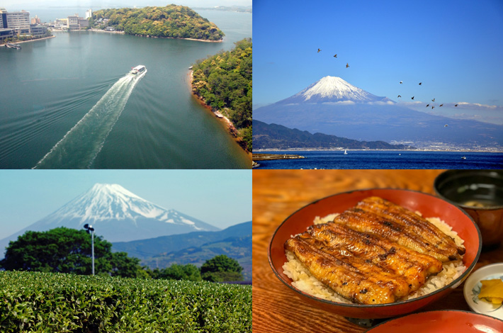 静岡県で合宿 人気の宿 御殿場 御前崎 浜名湖 旅プラン