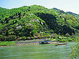 ȞiF