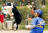 富士スバルランド ドギーパーク