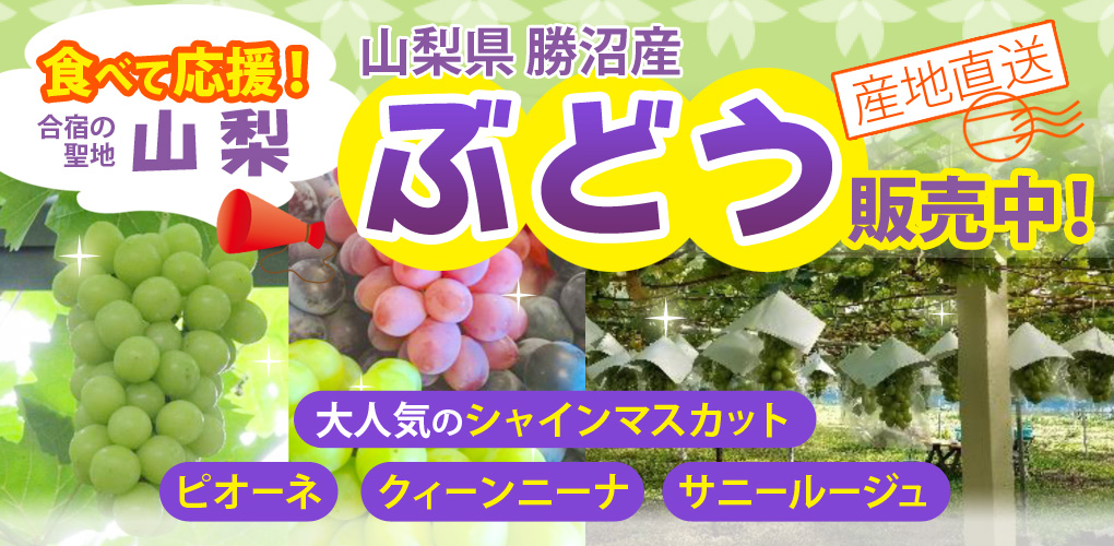 食べて応援!山梨県・勝沼産のぶどう販売中!シャインマスカット・ピオーネ・クィーンニーナ・サニールージュ